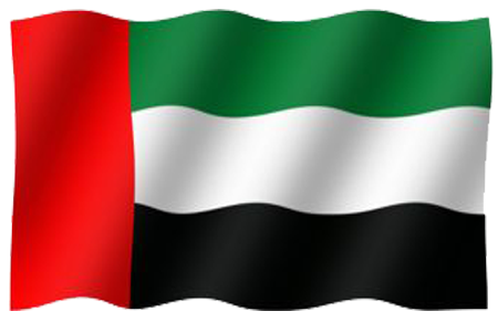 UAE Flag